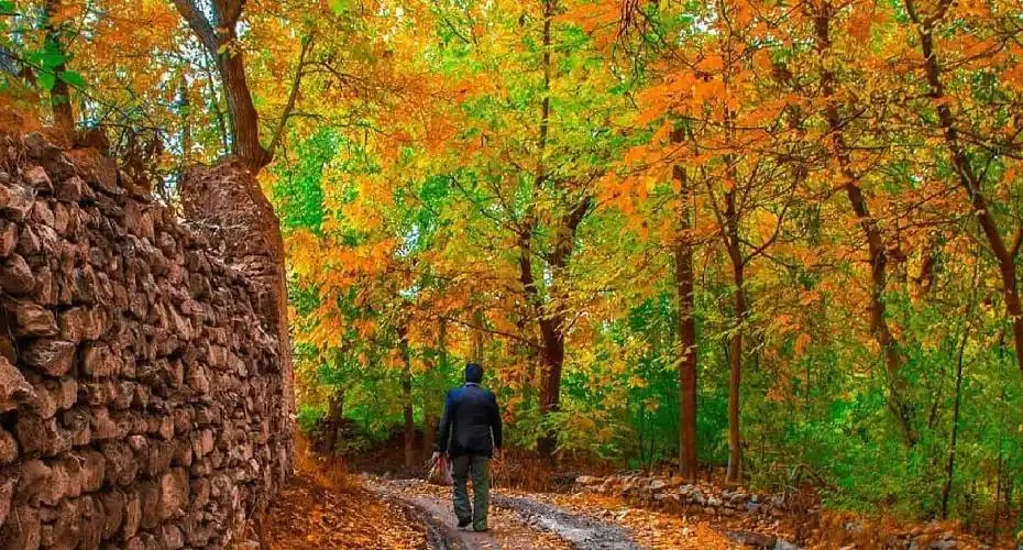سفر اقتصادی