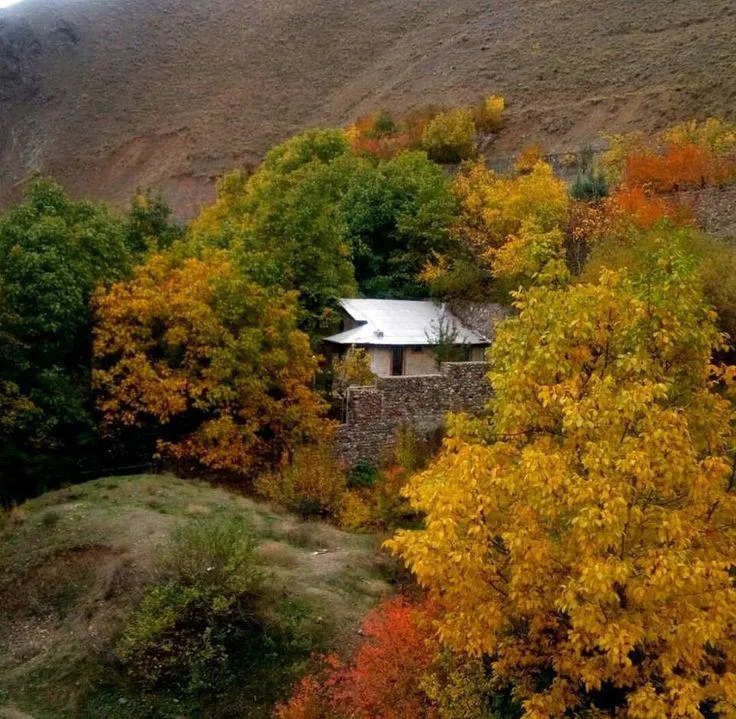سفر اقتصادی