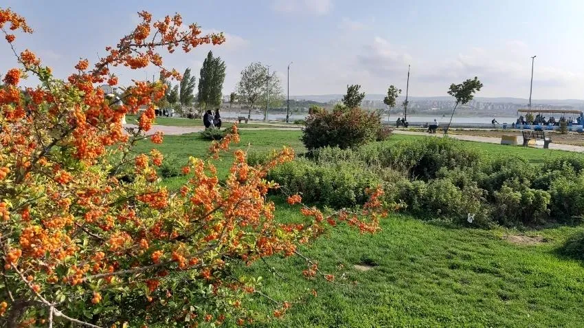 اردبیل مقصد سفر پاییزی