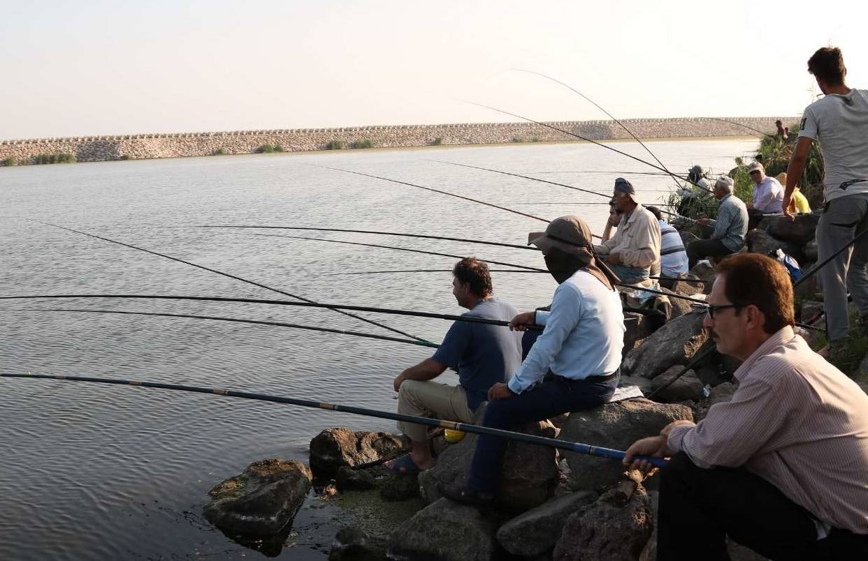 ماهیگیری در تهران