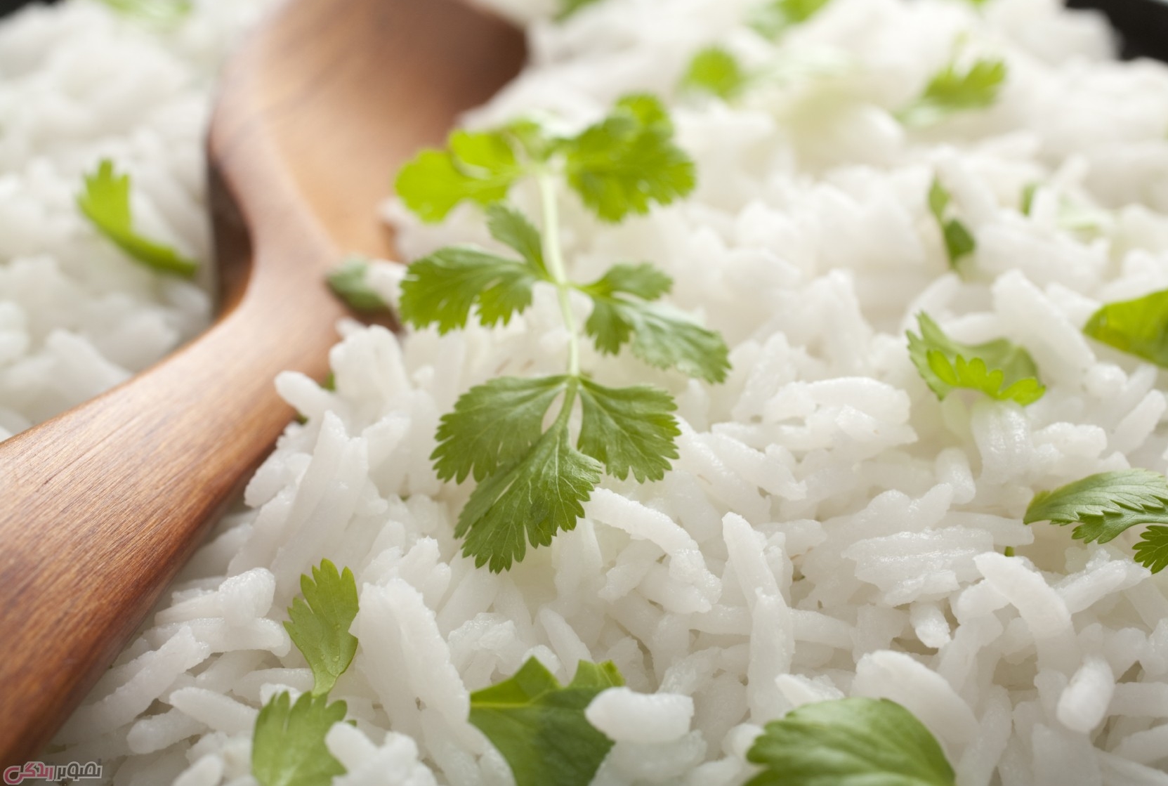 پخت برنج آبکشی