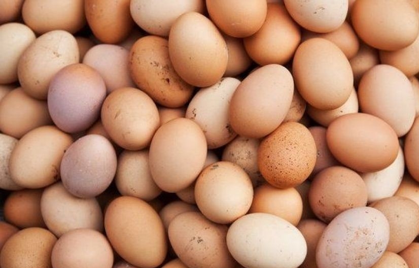 تشخیص تخم مرغ تازه