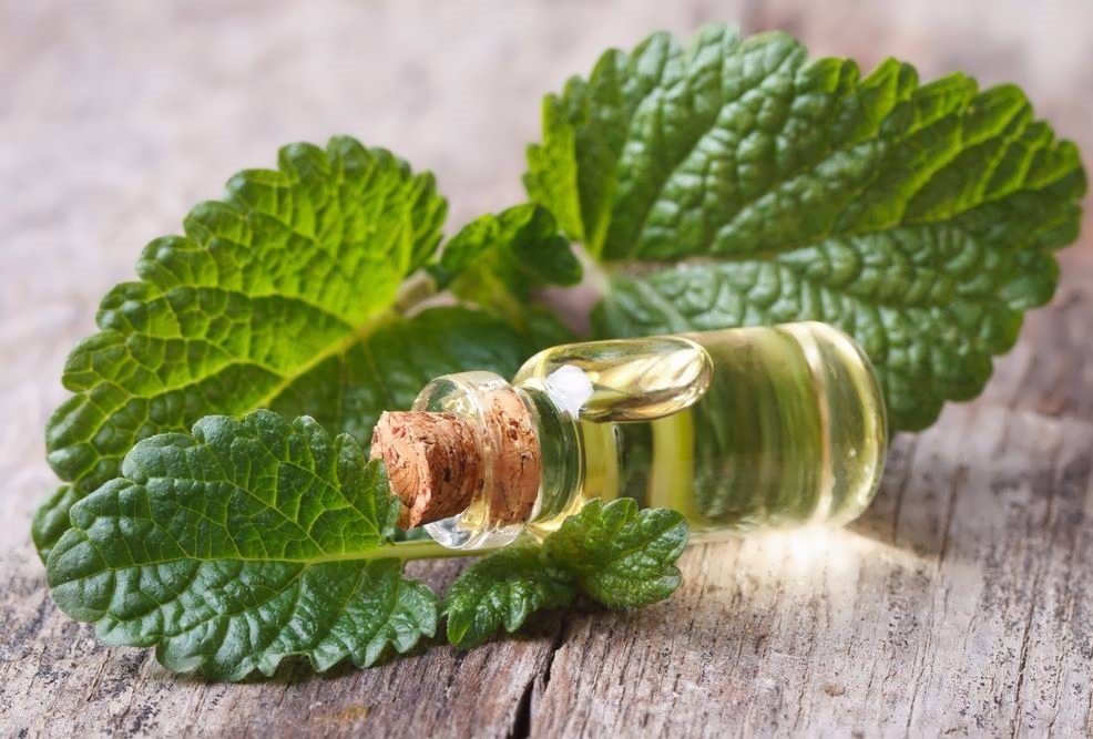 خواص عرق نعناع