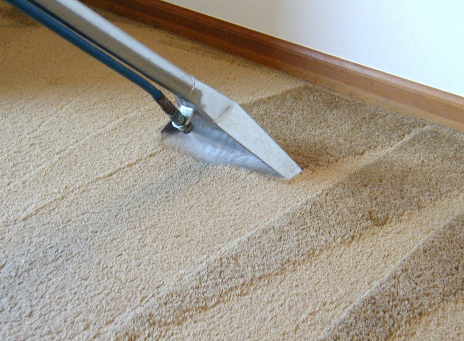 استفاده از شامپو فرش