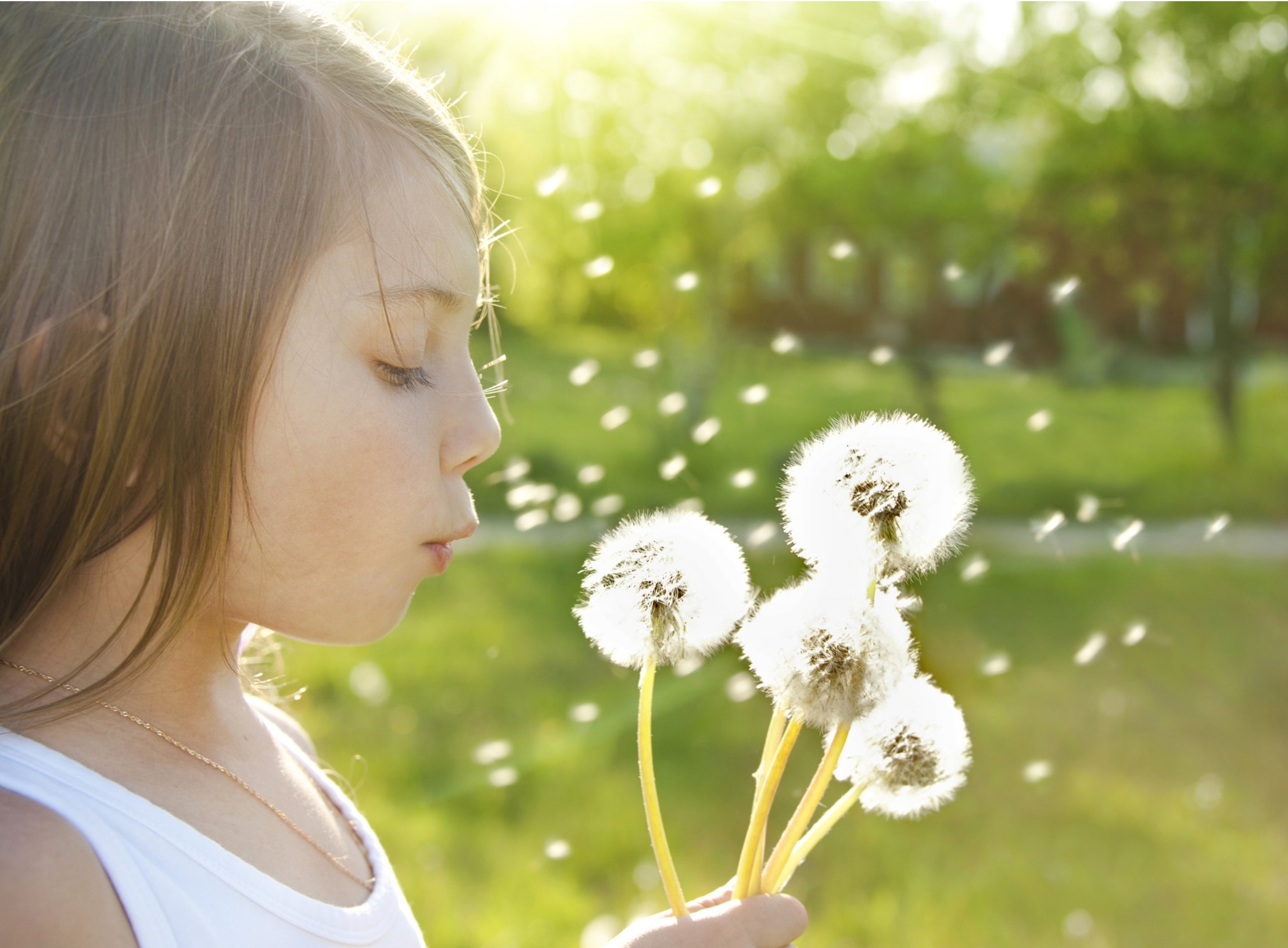 رسیدن به آرزو