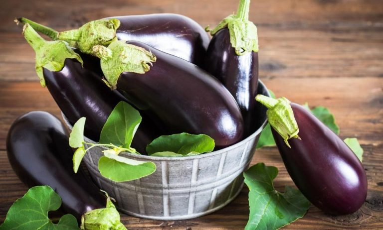 گرفتن تلخی بادمجان