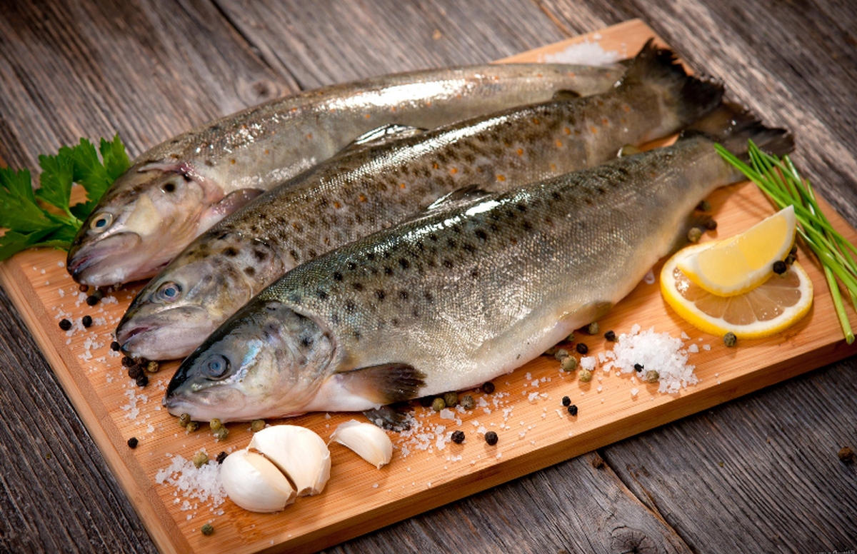 تشخیص ماهی تازه - طبخ ماهي