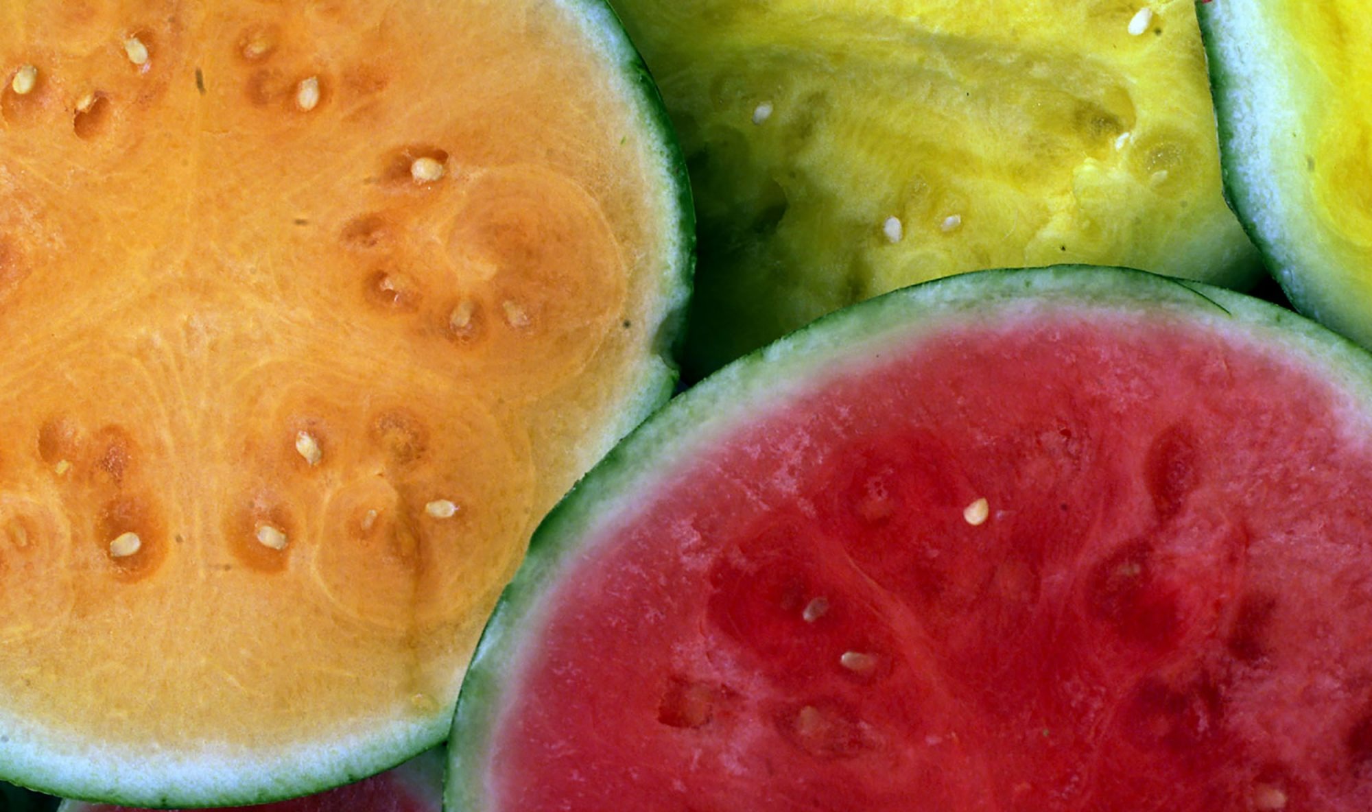 انواع هندوانه - روش تشخیص هندوانه شیرین