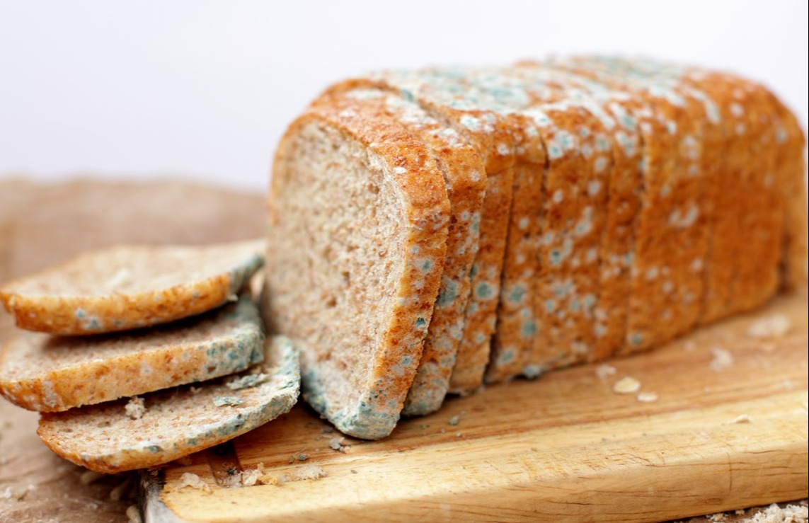 نان کپک زده - جلوگیری از کپک زدن نان