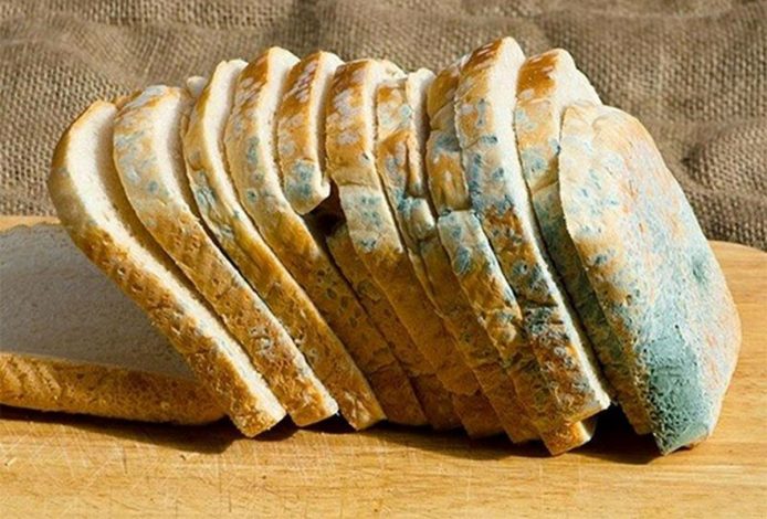 روشهای جلوگیری از کپک زدن نان