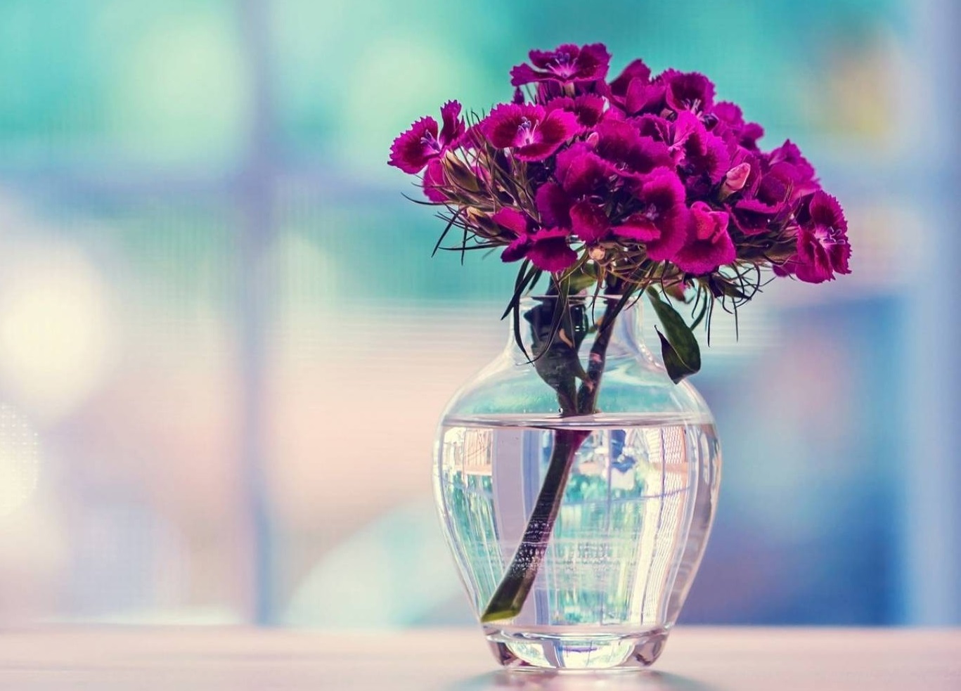 گل و گلدان - افزایش عمر گل