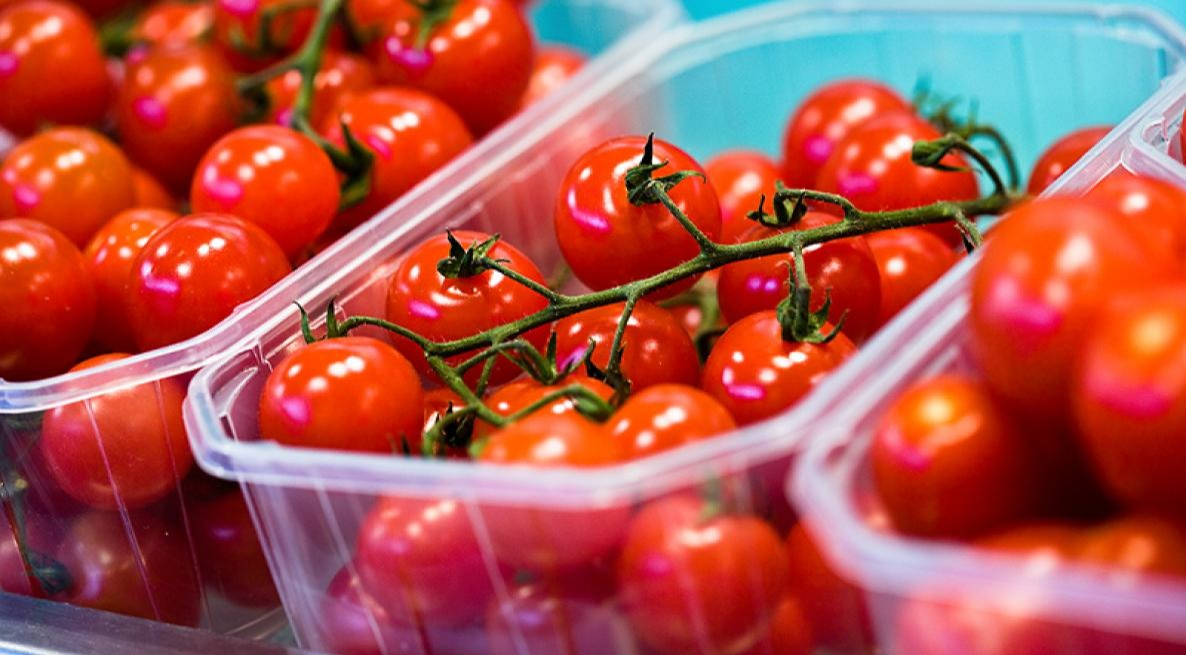 نگهداری گوجه در ظرف در دار - نگهداری میوه و سبزی در یخچال