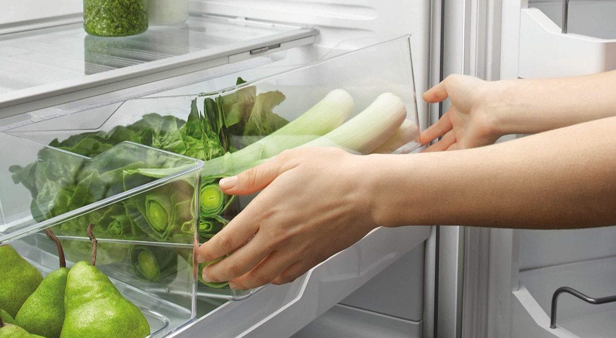 نگهداری تره فنگی در یخچال - نگهداری میوه و سبزی در یخچال