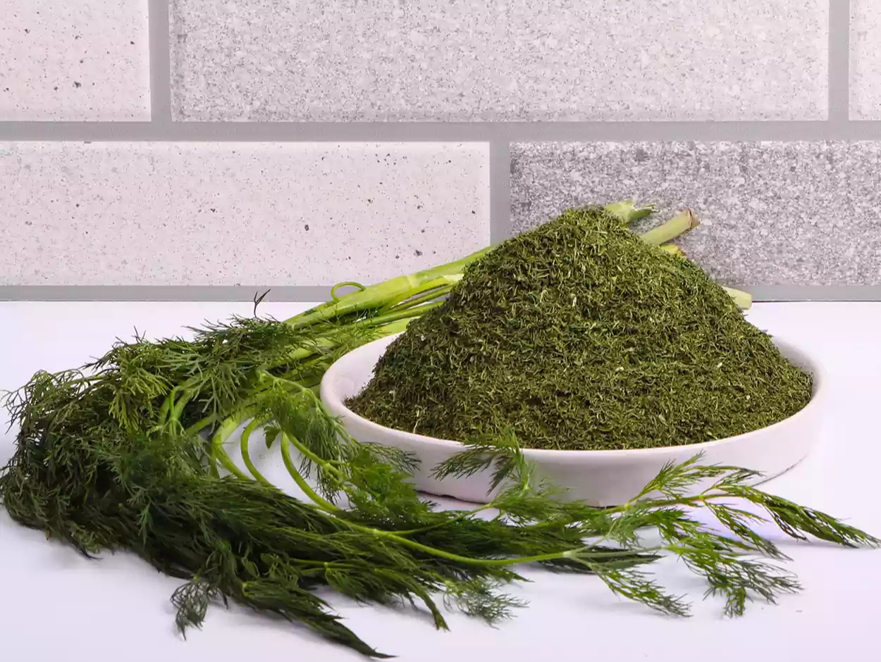 خشک کردن شوید