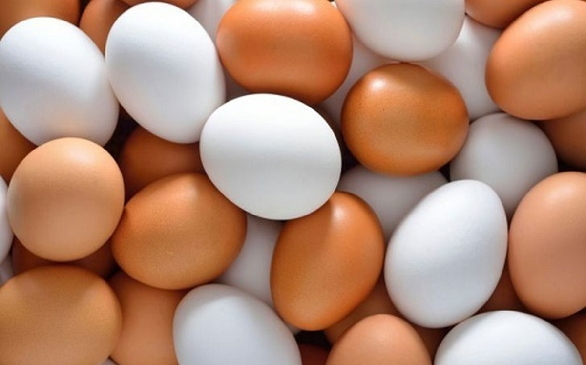 تخم مرغ رنگی - نگهداری تخم مرغ در یخچال