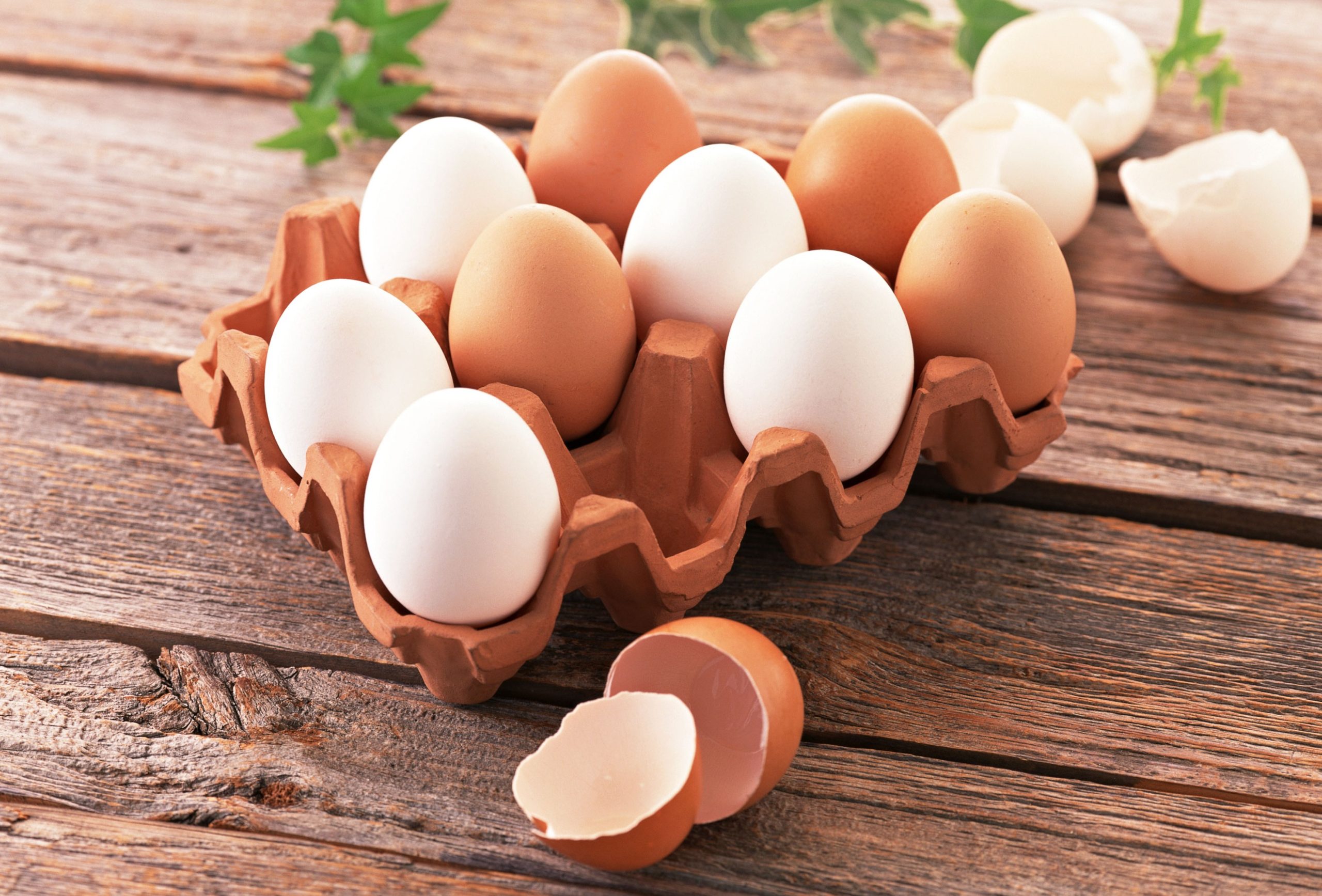 نگهداری تخم مرغ در یخچال