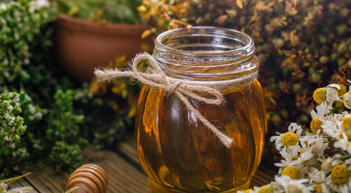 عسل برای کلیه - درمان خانگی سنگ کلیه