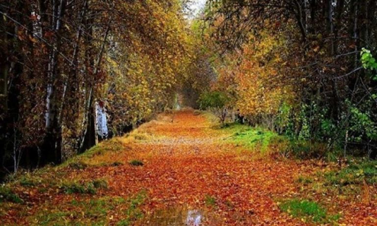 پاییز در کرج - جاهای دیدنی کرج