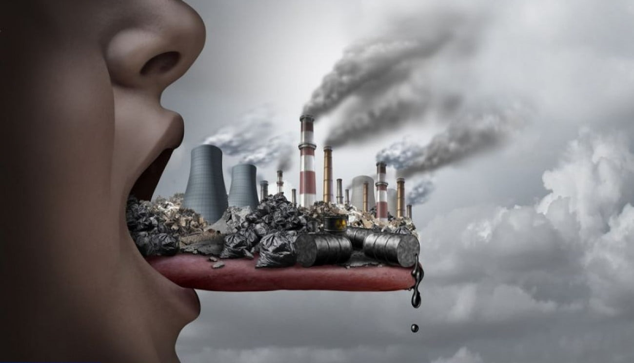 دود در ریه و دهان - مواد غذایی مناسب آلودگی هوا