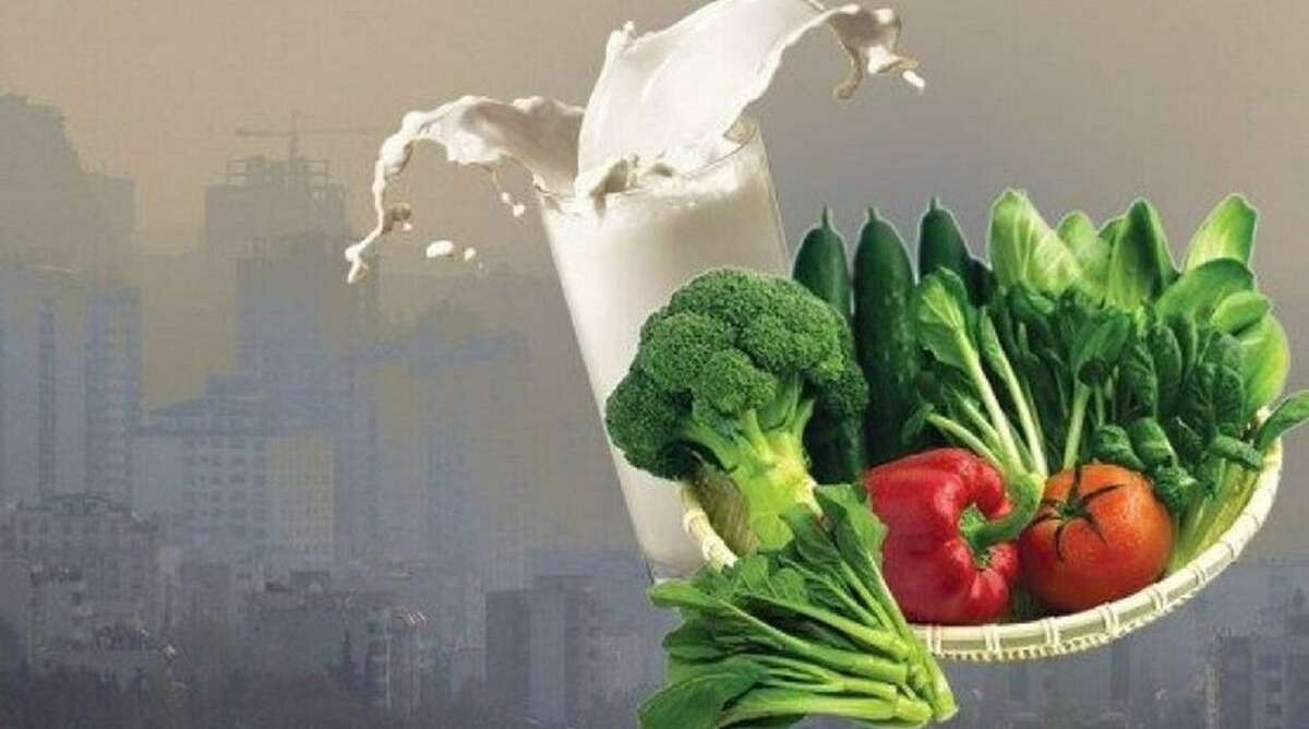 مواد غذایی مناسب آلودگی هوا