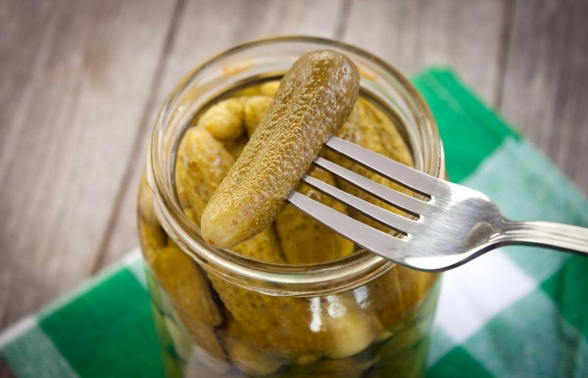 علت پوک شدن خیارشور