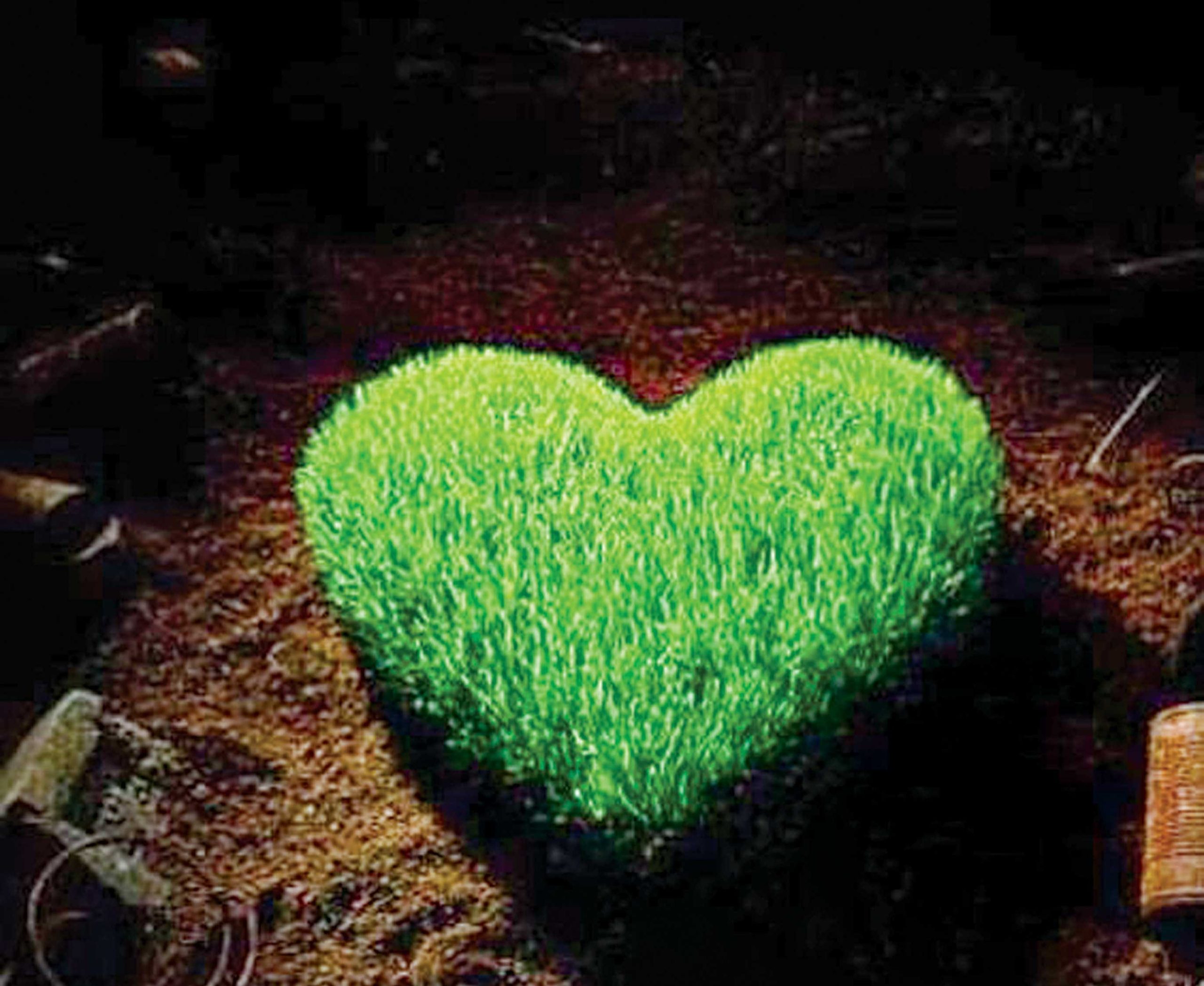 کاشت سبزه به شکل قلب
