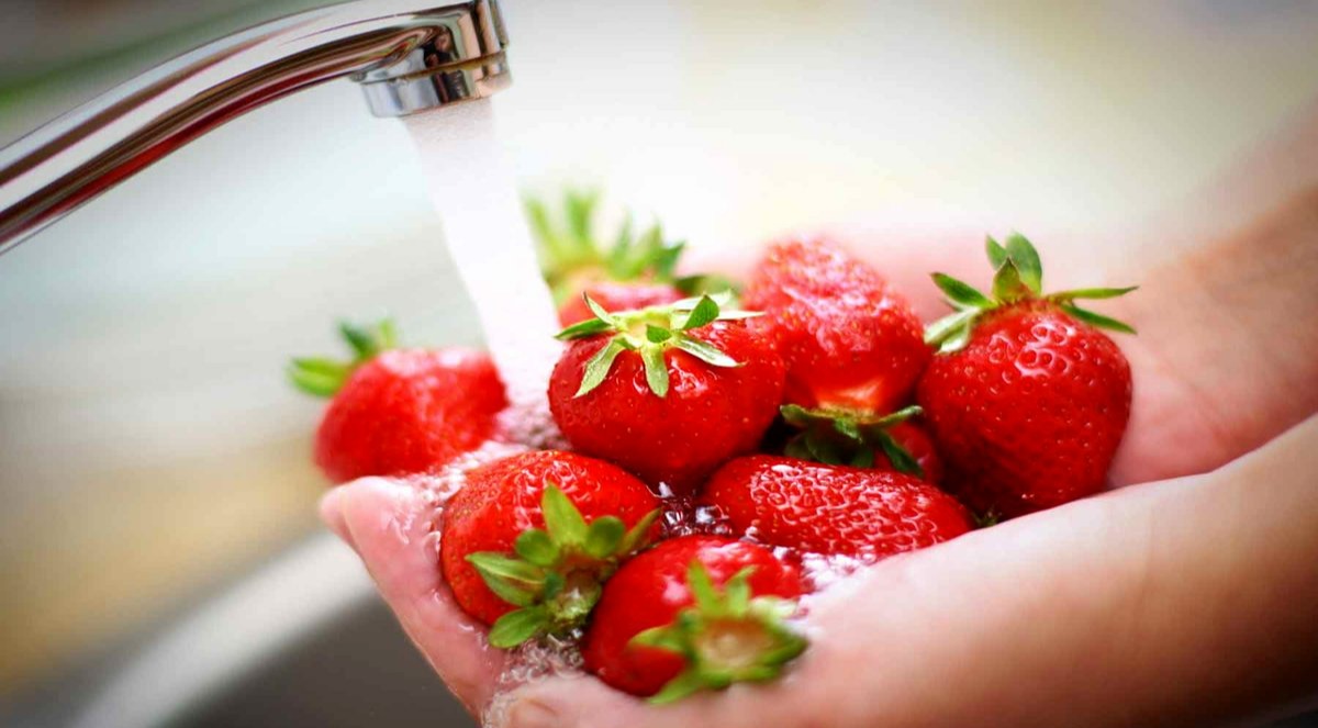 شستن توت فرنگی - نگهداری از توت فرنگی در یخچال