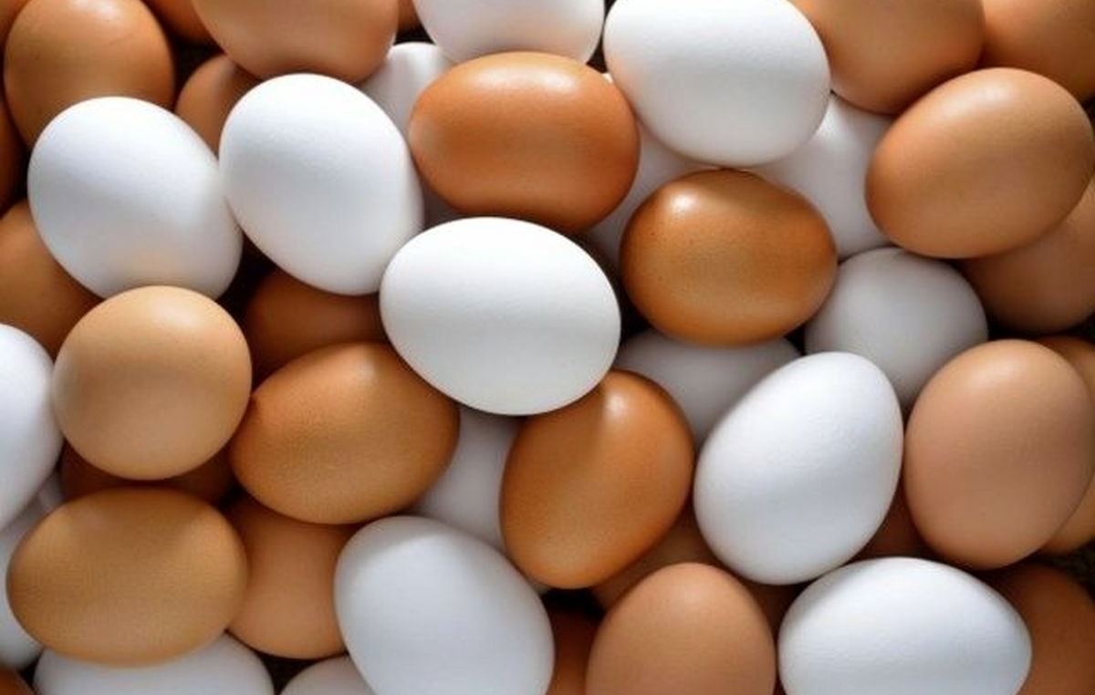 تخ مرغ های رنگی - از بین بردن بوی بد تخم مرغ