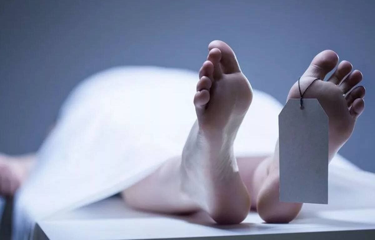 جسد - زندگی پس از مرگ
