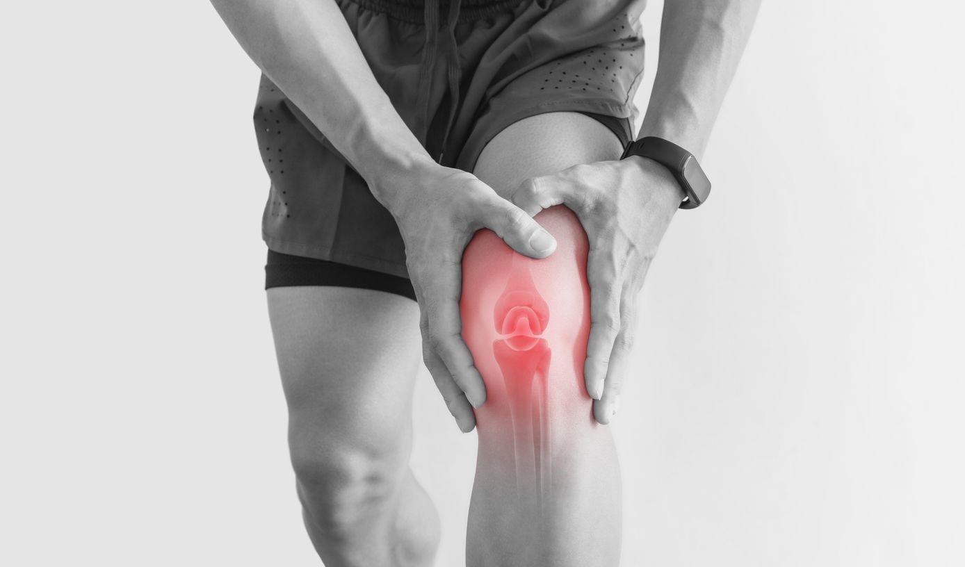 غضروف ساز قوی برای زانو