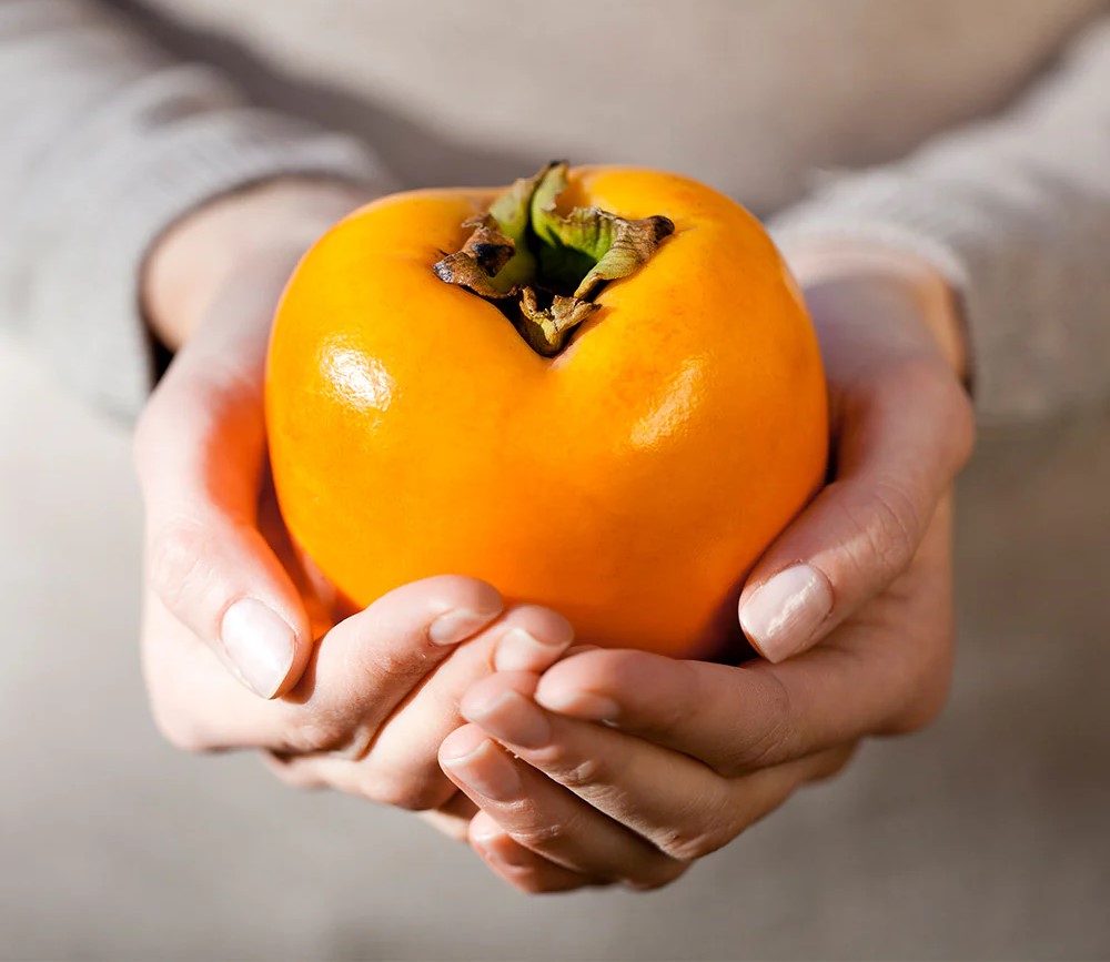 خواص کلاهک خرمالو