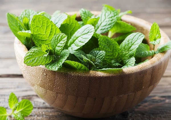 گیاهان دارویی مؤثر در درمان نفخ