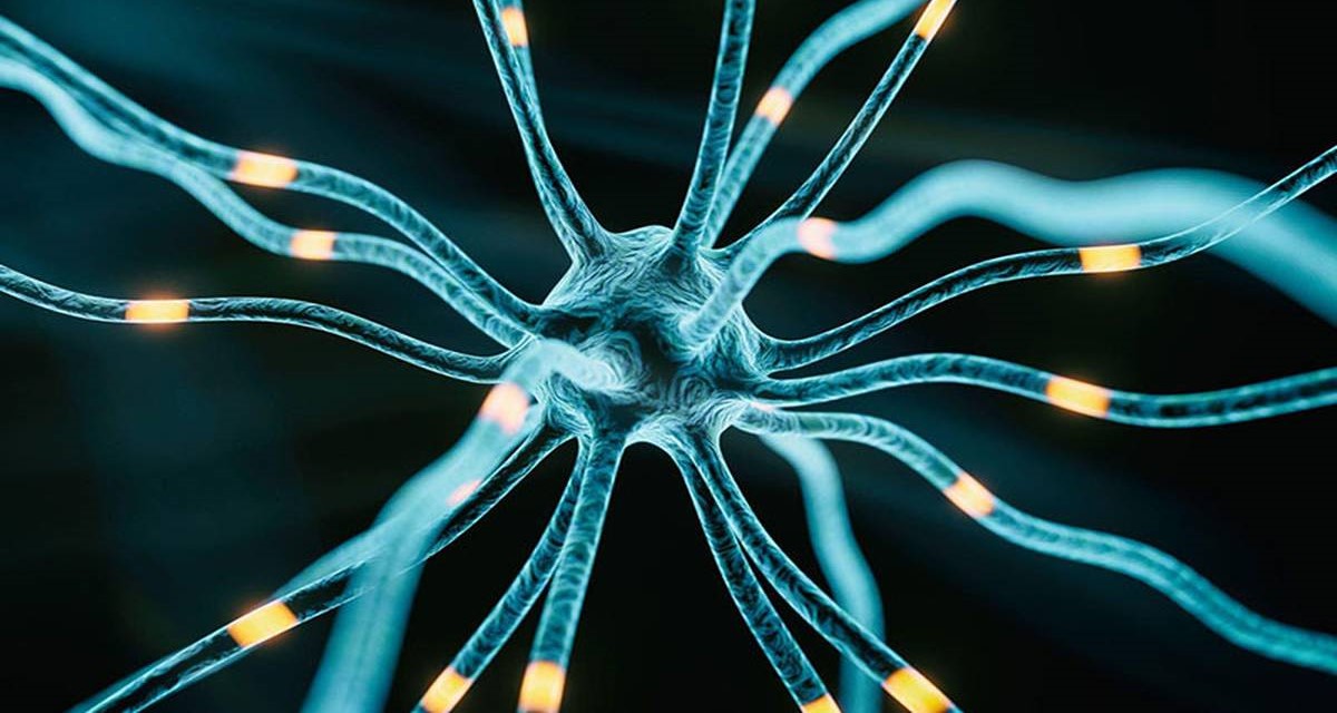 ام اس - علائم اولیه ام اس