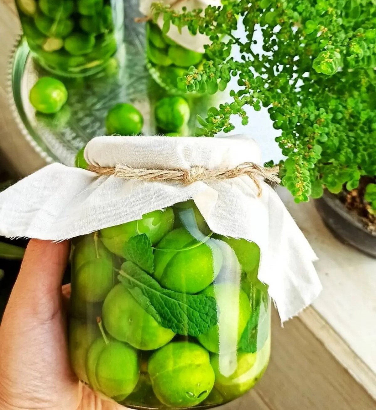ترشی با گوجه سبز - طرز تهیه ترشی گوجه سبز