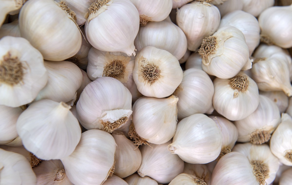 روش خشک کردن سیر تازه با فر