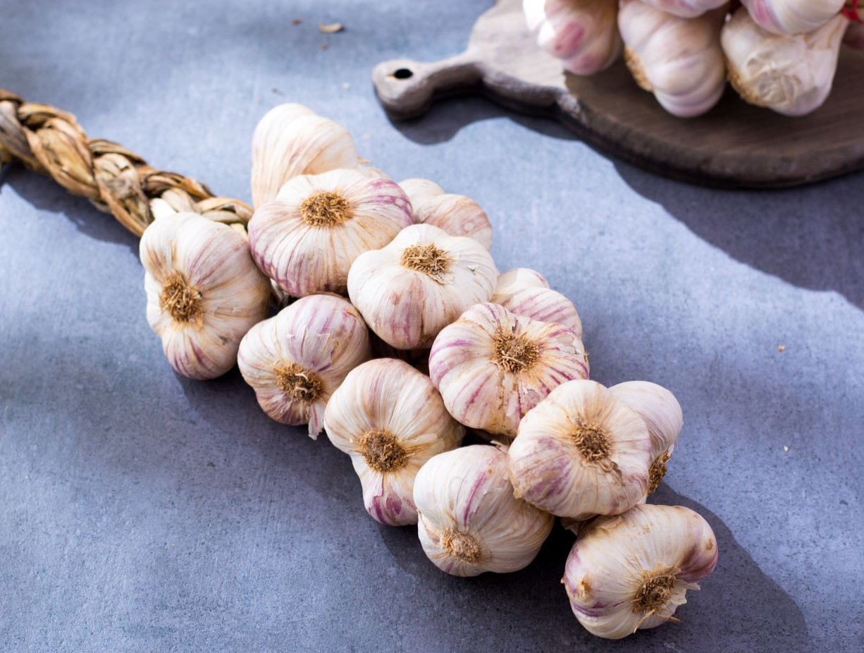 روش خشک کردن سیر تازه با شوفاژ