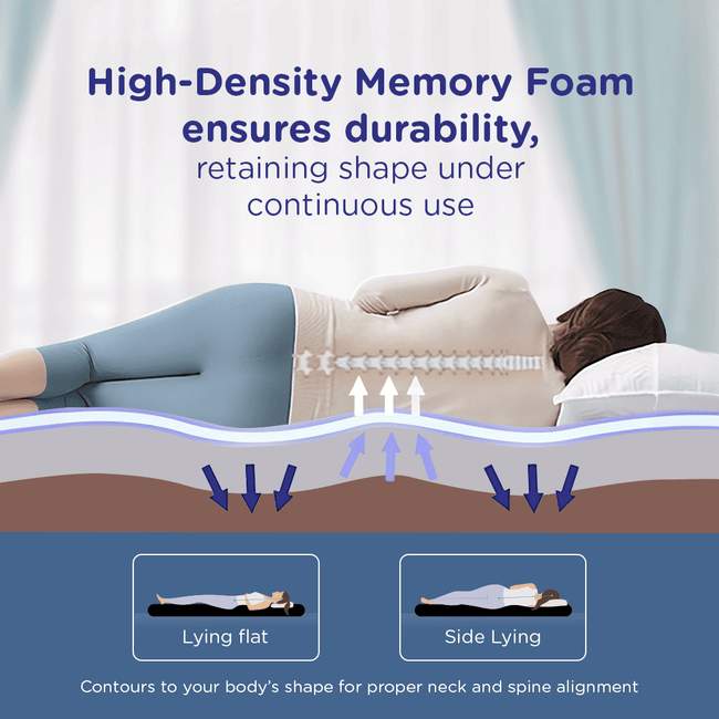 تخت ارگونومیک