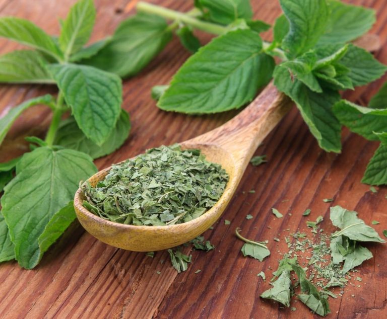 روش خشک کردن نعنا