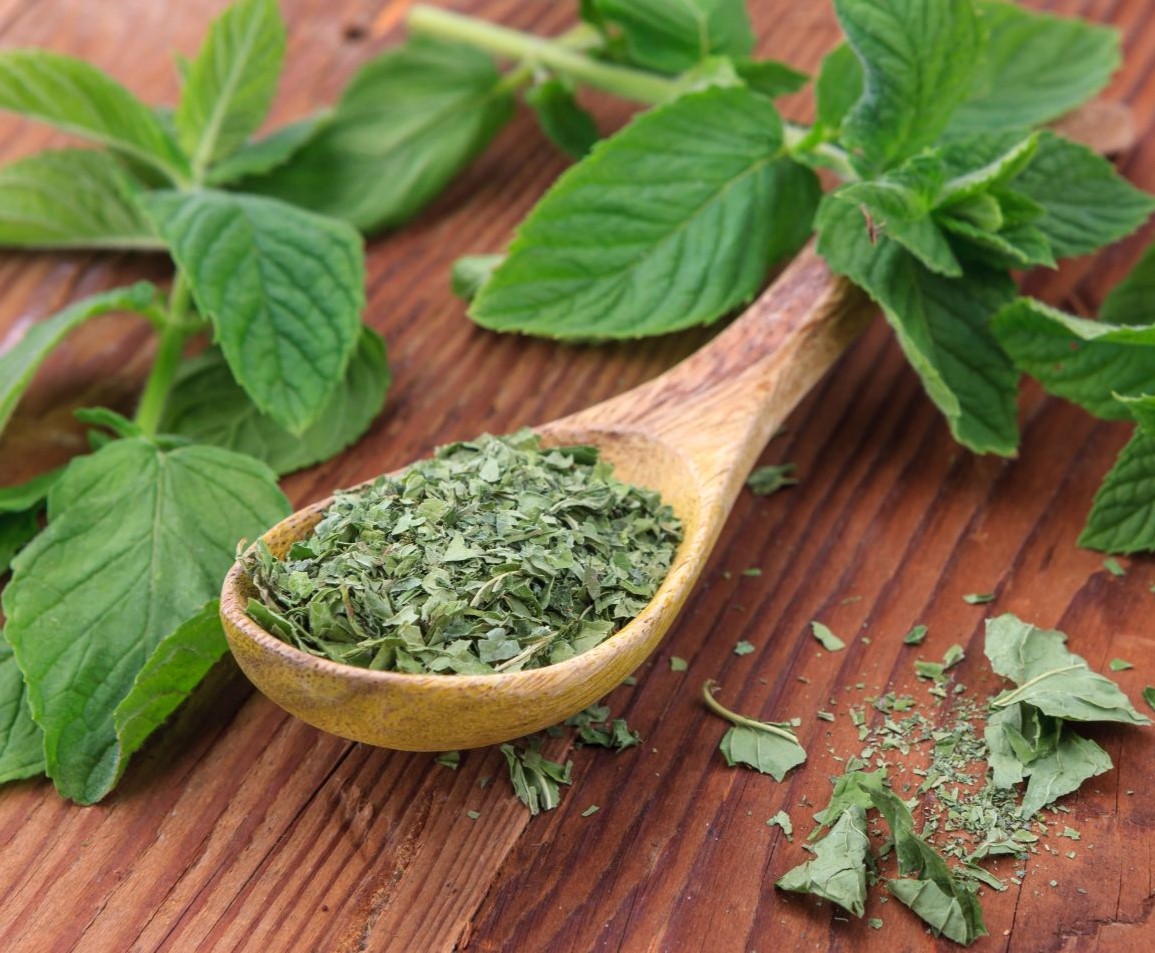 روش خشک کردن نعنا