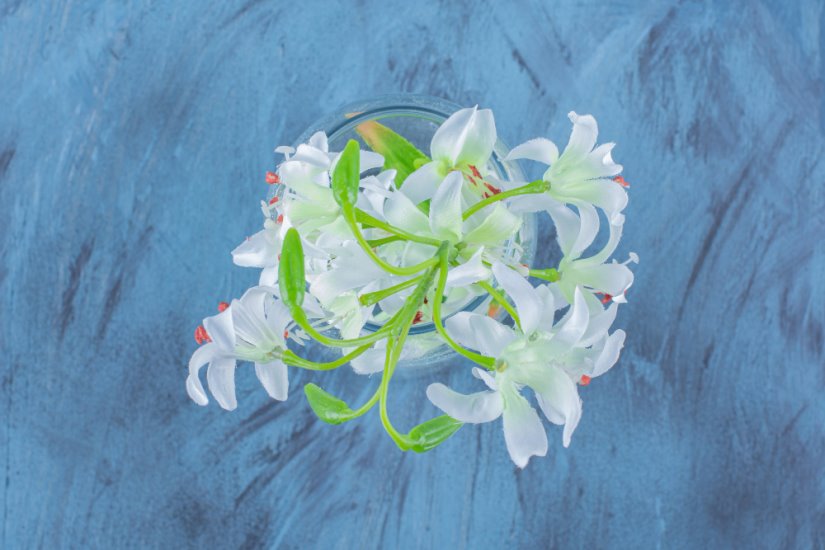 آشنایی با خواص بهار نارنج