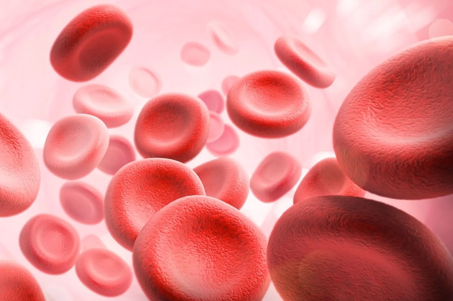 خون بند ناف نوزاد - نگهداری خون بند ناف