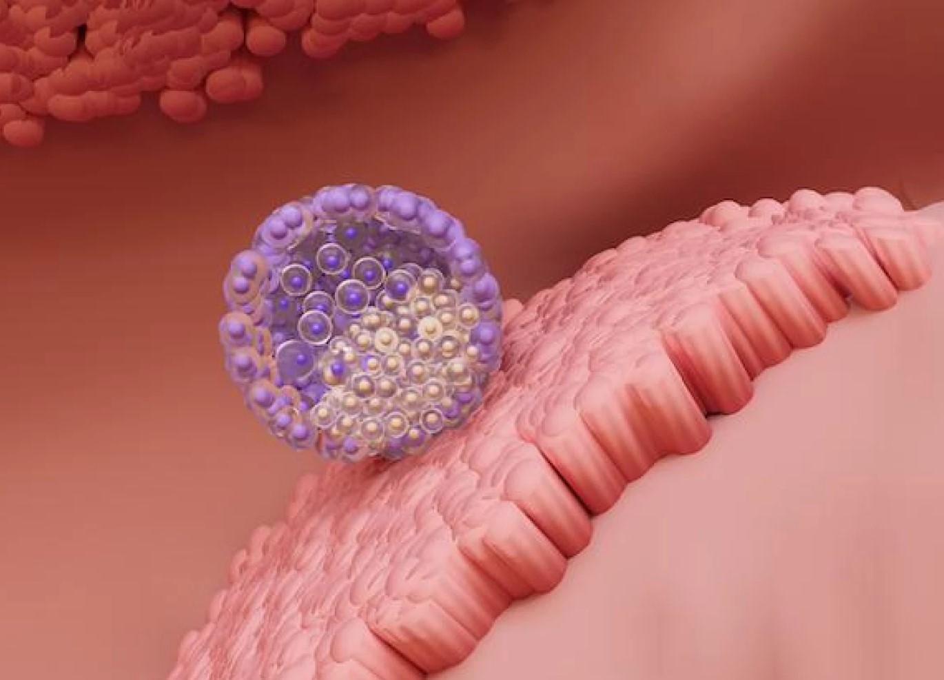 لانه گزینی - علائم لانه گزینی موفق