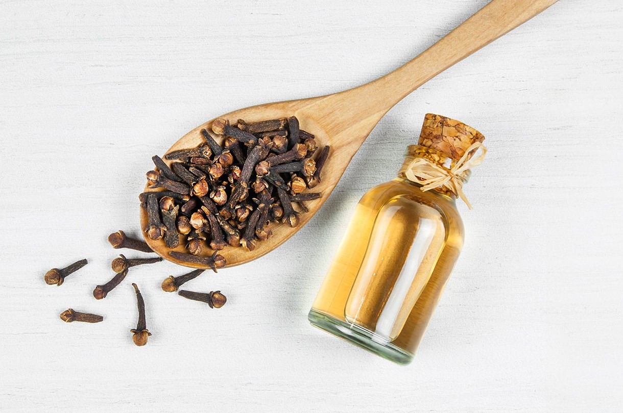 خواص میخک - خواص دمنوش میخک