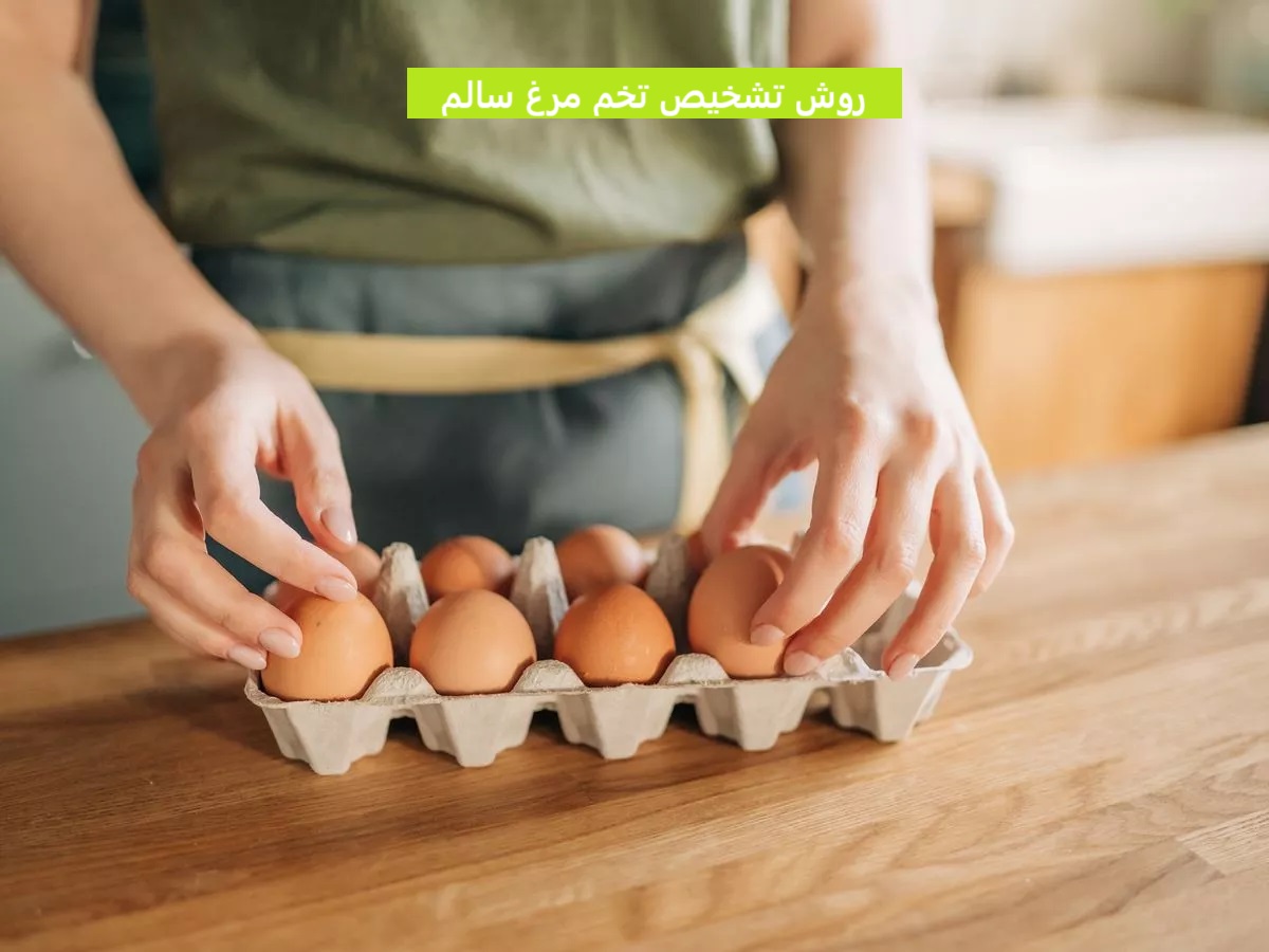 روش تشخیص تخم مرغ سالم