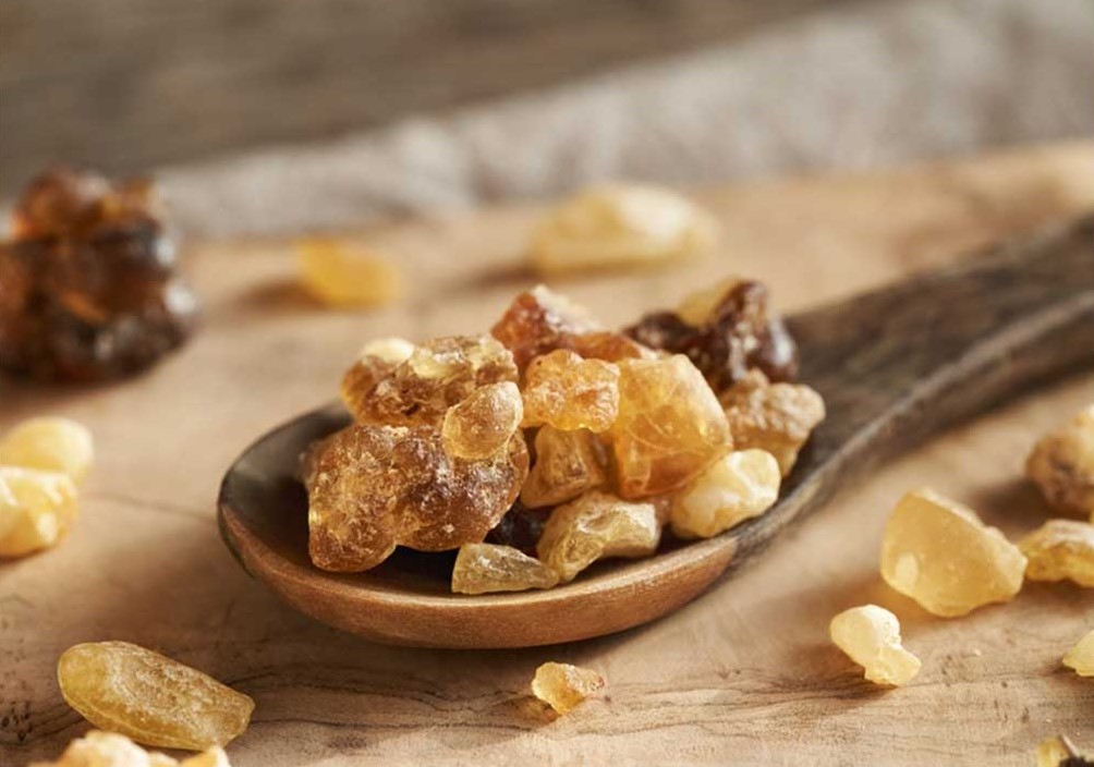 خواص جویدن کندر - خواص خوردن کندر صبح ناشتا