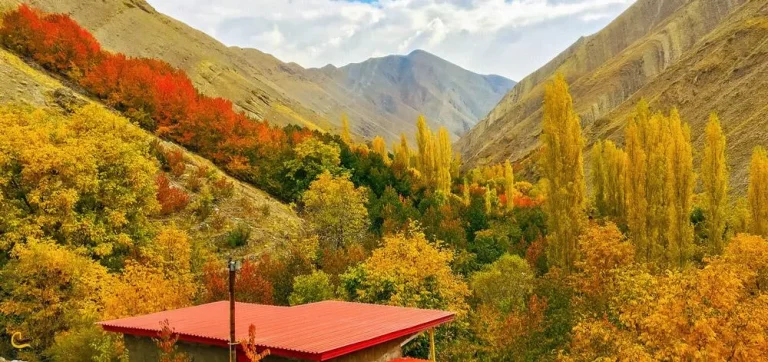 سفر اقتصادی